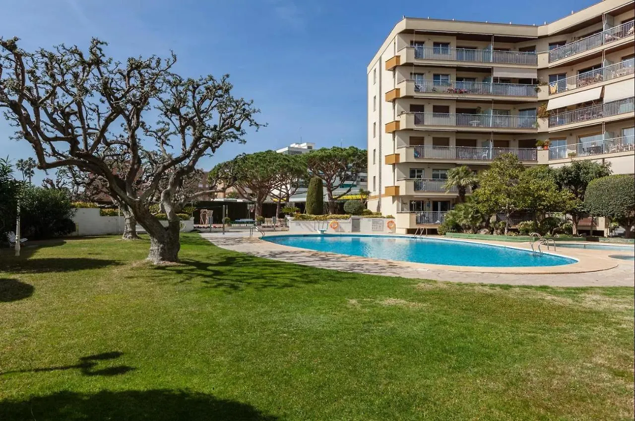 Apartment Muralla 滨海比拉萨尔 0*,